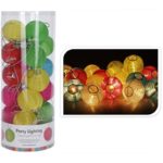 Feestverlichting - 20 lampen - gekleurd