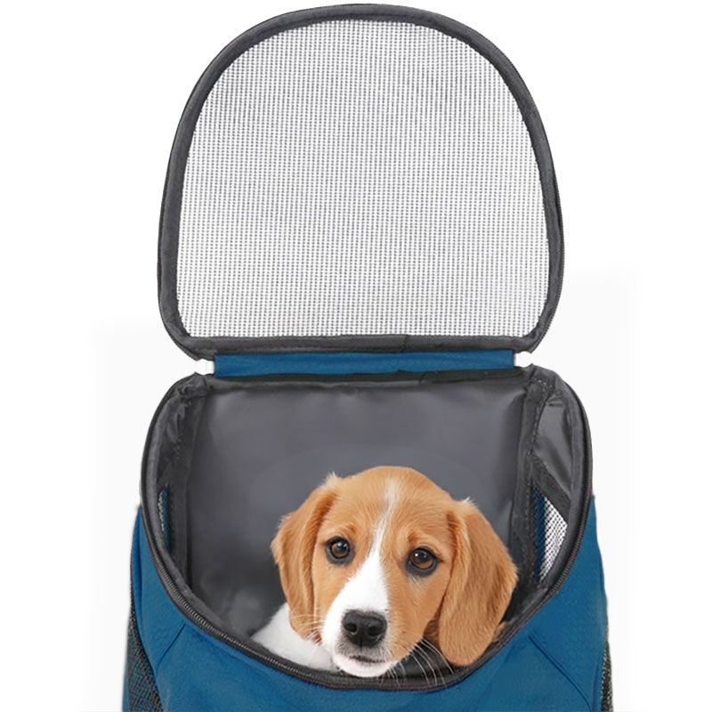 Ceruzo Hondenrugzak - Katten en Honden tot max 10 kg - Petrol Ceruzo Hondenrugzak - Katten en Honden tot max 10 kg - Petrol - Afbeelding 2