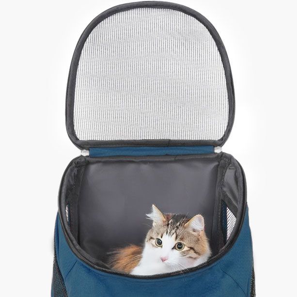 Ceruzo Hondenrugzak - Katten en Honden tot max 10 kg - Petrol Ceruzo Hondenrugzak - Katten en Honden tot max 10 kg - Petrol - Afbeelding 3