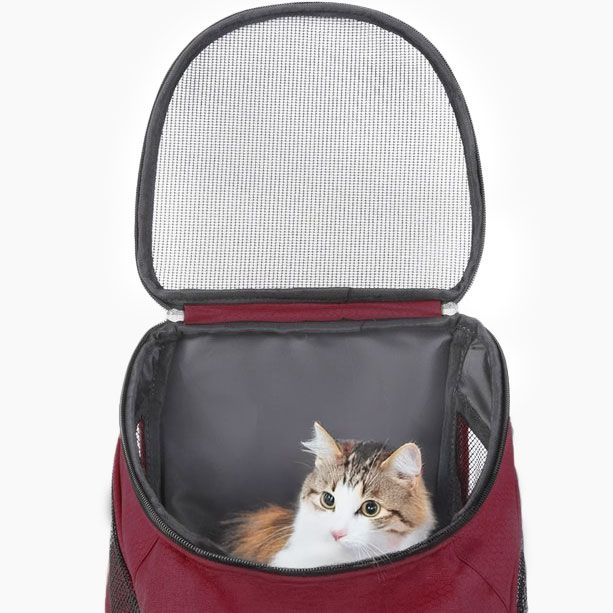 Ceruzo Hondenrugzak - voor Katten en Honden tot max 10 KG - Rood Ceruzo Hondenrugzak - voor Katten en Honden tot max 10 KG - Rood - Afbeelding 3